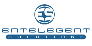 EnTelegent Solutions Logo